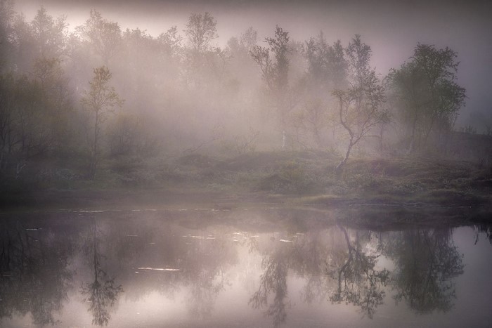 Misty forest landscape with lake reflection at dawn