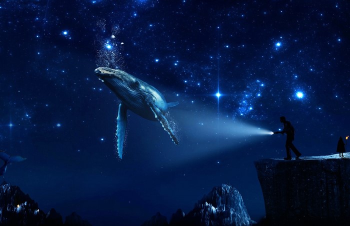 Whale in a starry night sky with people on a cliff