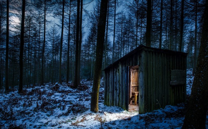 Wooden hut in a snowy forest at night