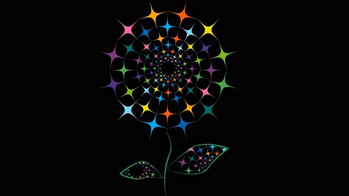 Abstract colorful star flower illustration