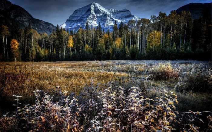 Frosty Meadow with Mountain and Autumn Forest