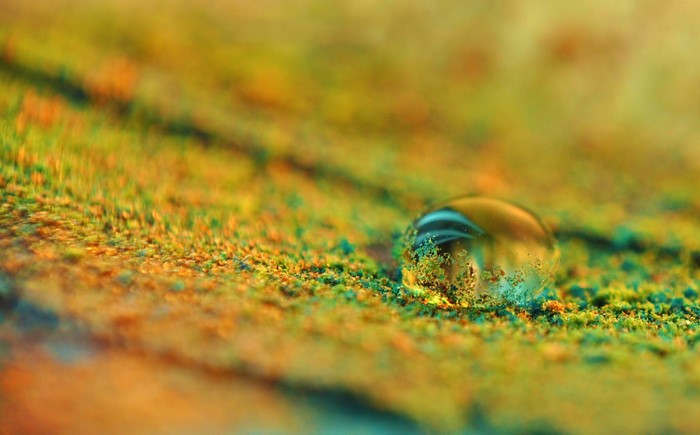 Macro shot of a water droplet on colorful textured surface