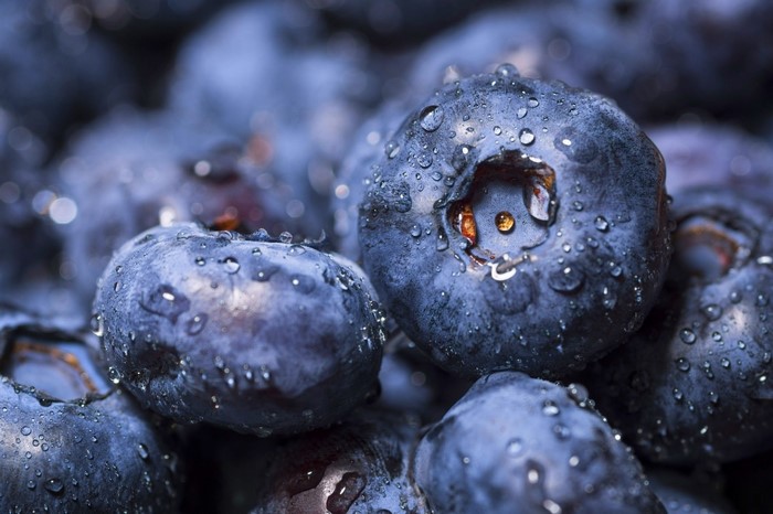 Close-up of fresh blueberries with water droplets