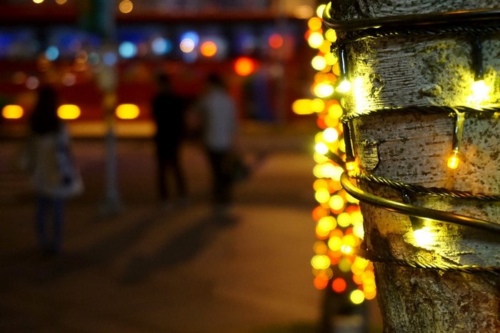 Tree decorated with Christmas lights at night