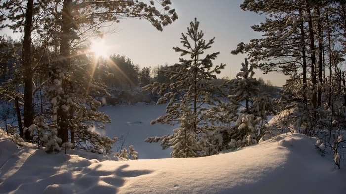 Sunlight through snow-covered trees overlooking a frozen lake
