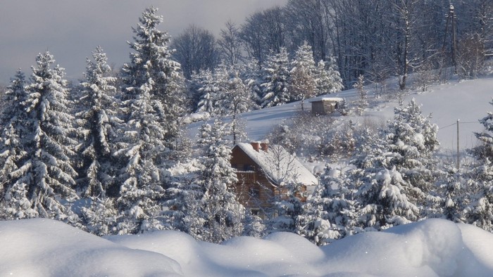 Snow-covered house and fir trees in a winter landscape