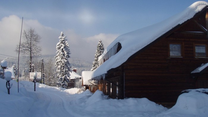 Snowy winter scene with wooden houses and snow-covered trees