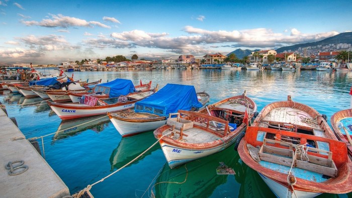 Boats docked in a harbor with a town in the background