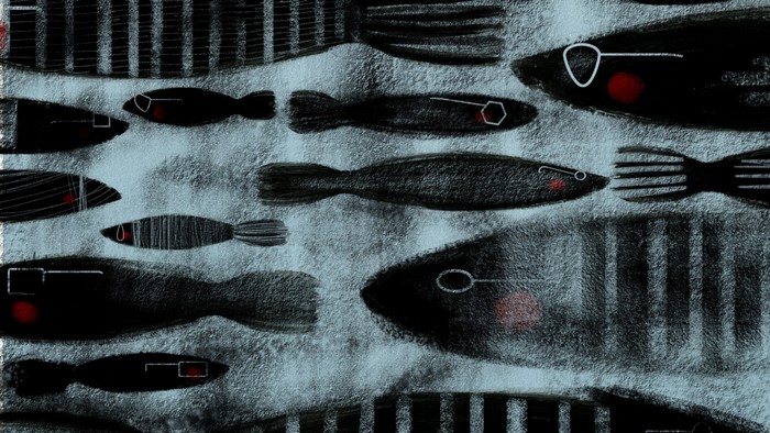 Illustration of black fish with glasses and red cheeks