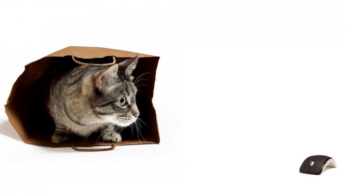 Cat in a paper bag with a computer mouse