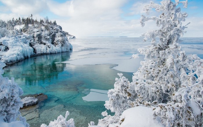 Winter scene of a frozen bay with snow-covered trees