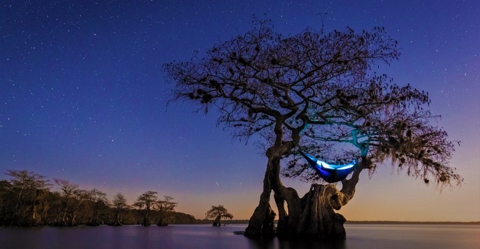 Hammock in a cypress tree at night over a lake