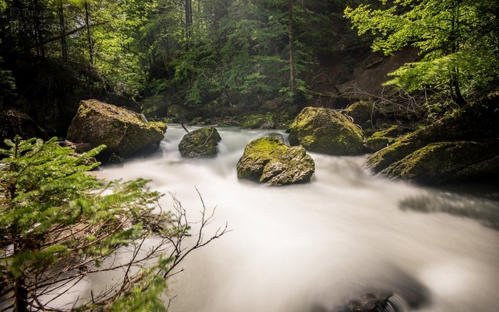 Long exposure of a river flowing through a forest with mossy rocks