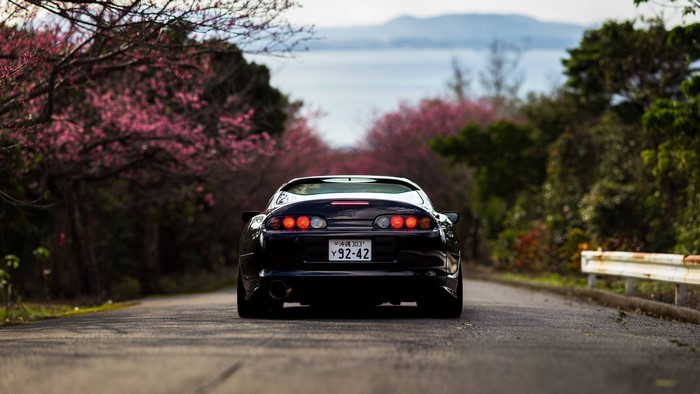 Black Toyota Supra on a road with cherry blossoms