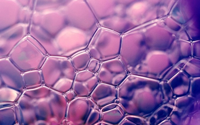 Abstract Macro Image of Soap Bubbles in Purple Hue