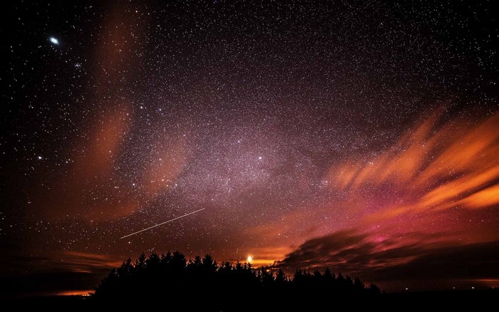 Night sky with stars and Milky Way over trees