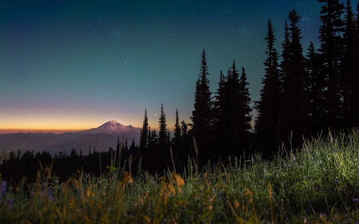 Mountain range at dusk with stars and trees
