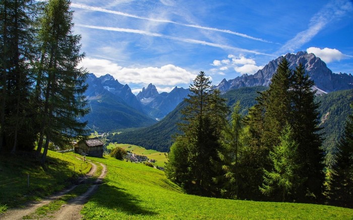 Mountain valley with trees and a dirt path