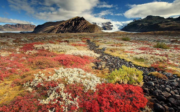Autumn tundra with mountains and glacier
