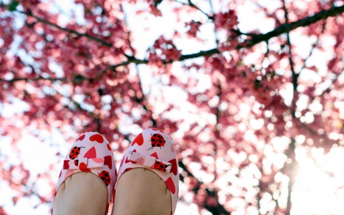 Feet wearing ladybug and heart patterned shoes under cherry blossoms