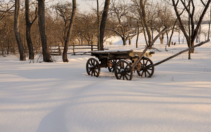 Old wooden cart in a snowy landscape with trees