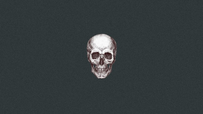 Illustration of a human skull