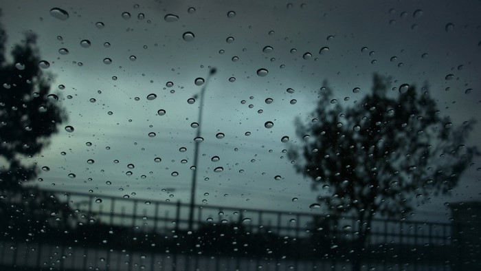 Raindrops on glass with trees and street light
