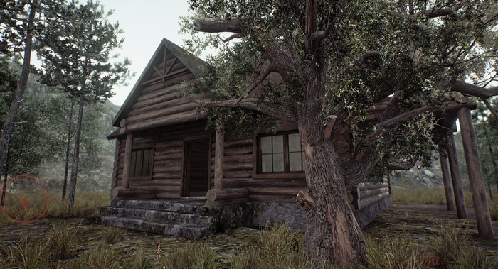 Log cabin in a forest with a large tree