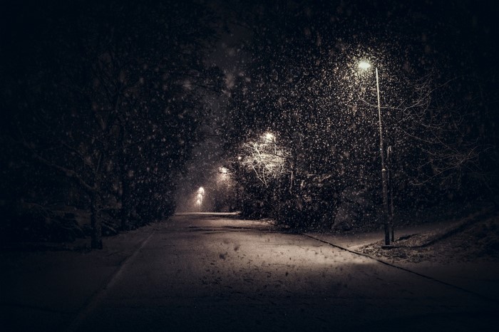 Snowy night with streetlights and trees