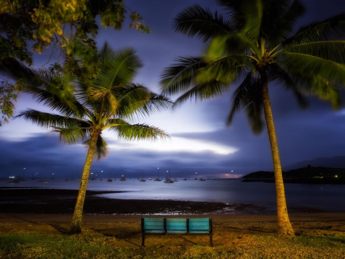 Bench and palm trees by the sea at dusk