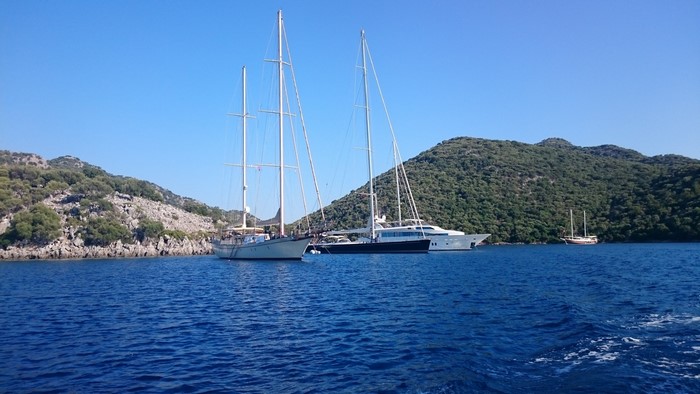Sailboats and yachts anchored in a calm bay with green hills
