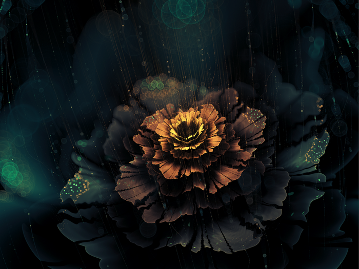 Fractal flower with rain and bokeh