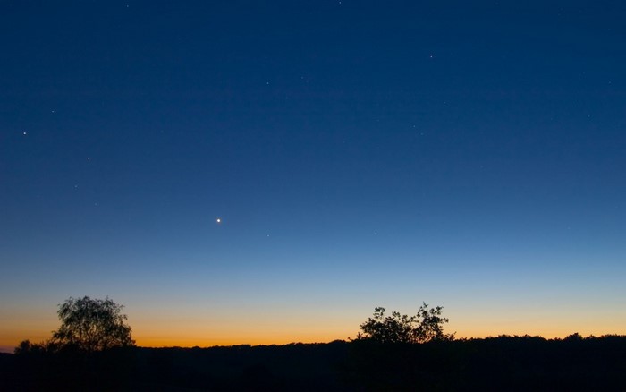 Dusk sky with stars and silhouette of trees