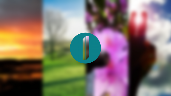 Abstract nature collage with a teal circle logo