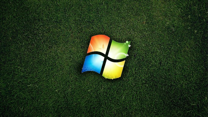 Microsoft Windows logo on green grass