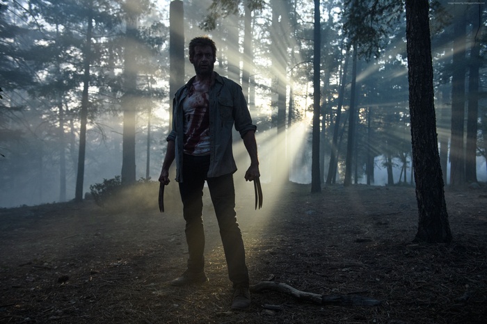 Logan from Marvel