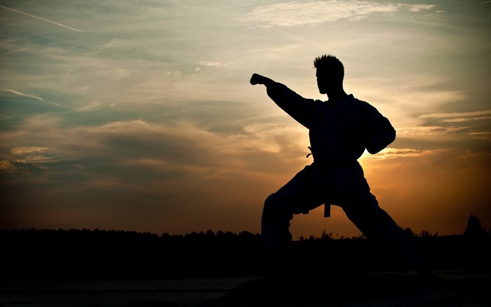 Silhouette of a man practicing martial arts at sunset