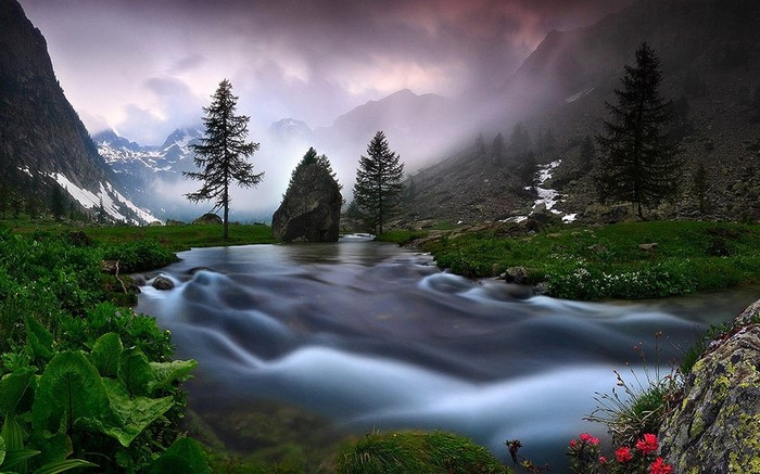 Misty mountain river with trees and wildflowers