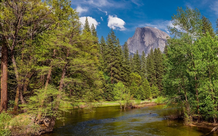 Half Dome Yosemite National Park River