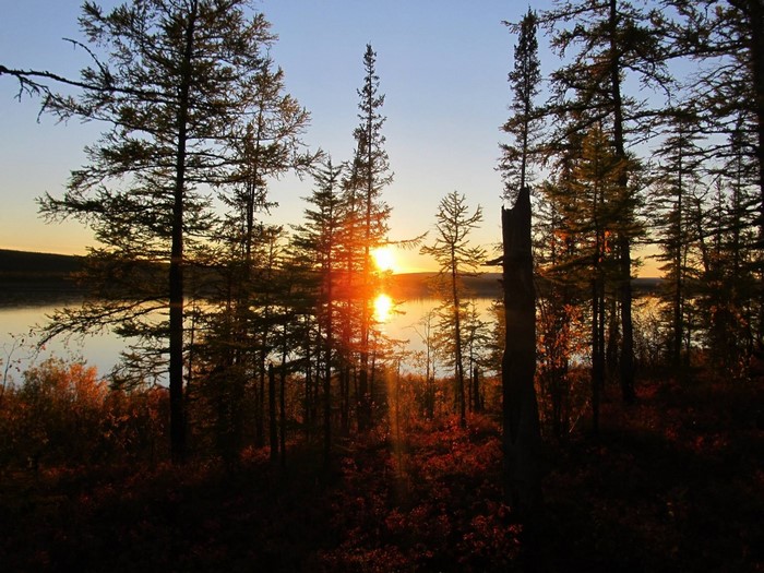 Sunset over a lake through a forest