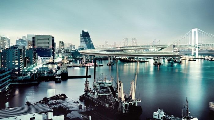 Cityscape with bridges and harbor at night