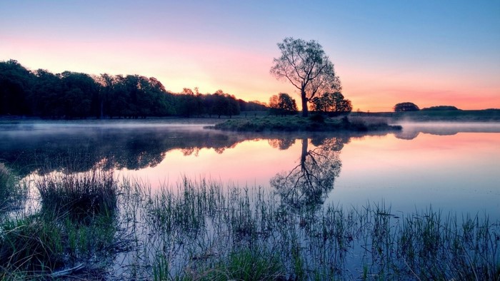 Misty lake at sunrise with a lone tree on an island