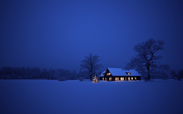 Snowy house with Christmas tree at night