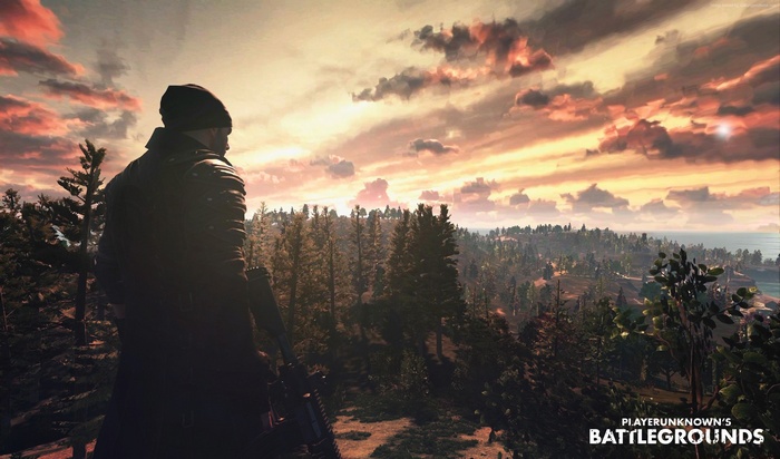 PlayerUnknown's Battlegrounds character overlooking a forest landscape
