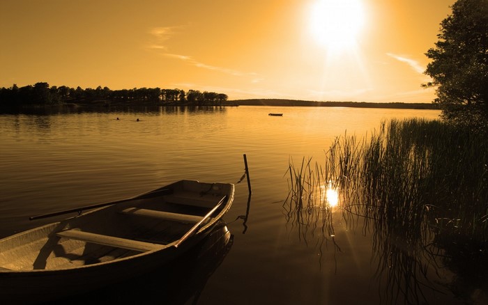 Boat on a lake at sunset with reeds
