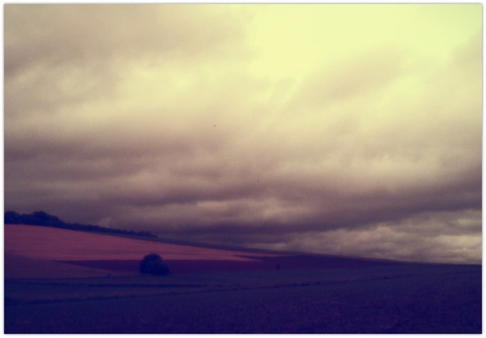 Field under cloudy sky