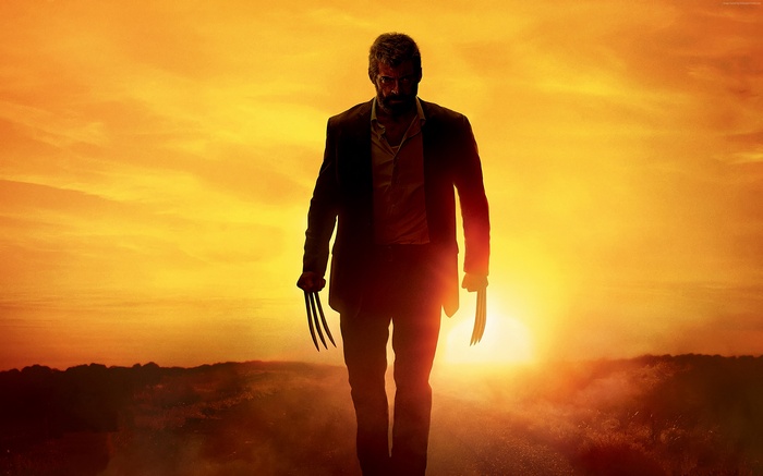 Logan from Marvel