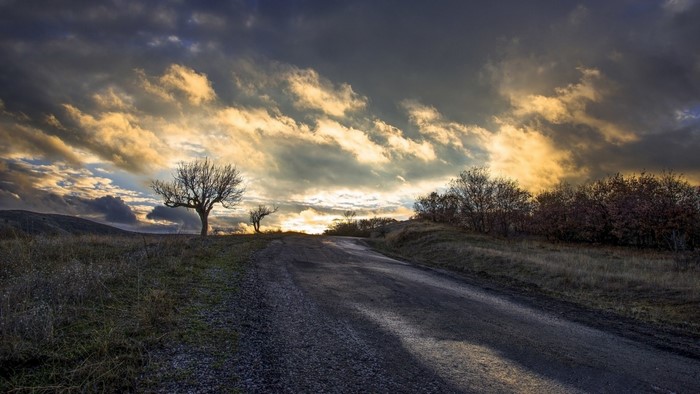 Road through a field with trees at sunset