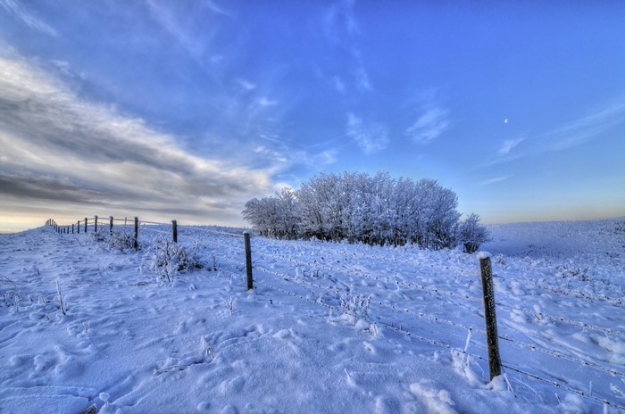 Winter landscape with snow-covered trees and fence