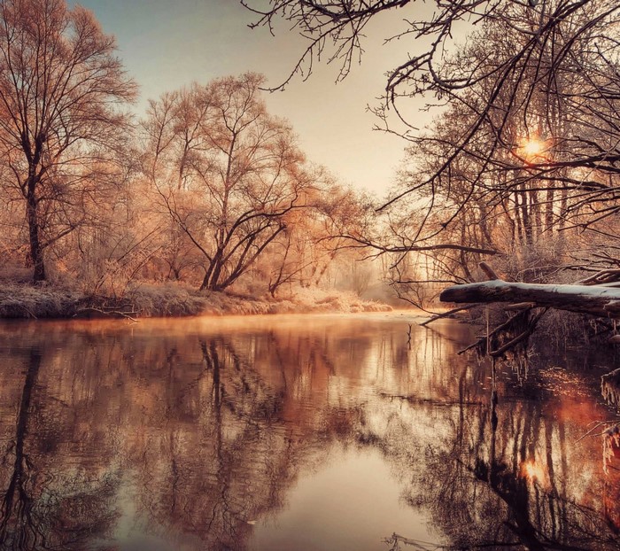Winter river with mist and trees at sunrise